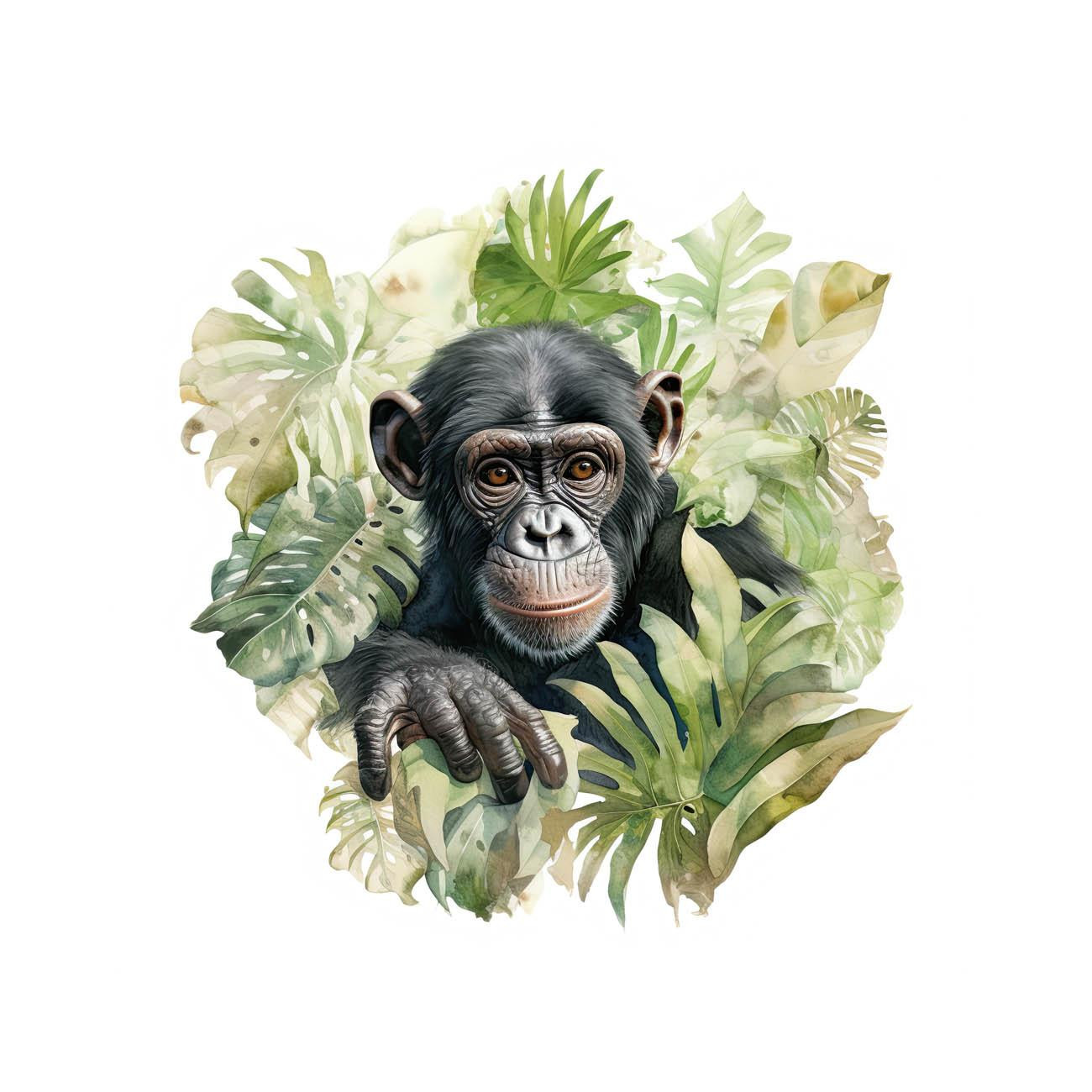 WATERCOLOR MONKEY - panel (60cm x 50cm)