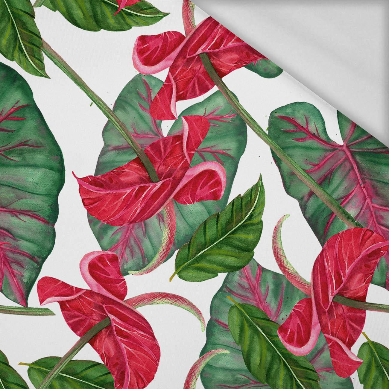 ANTHURIUM - Thermo lycra