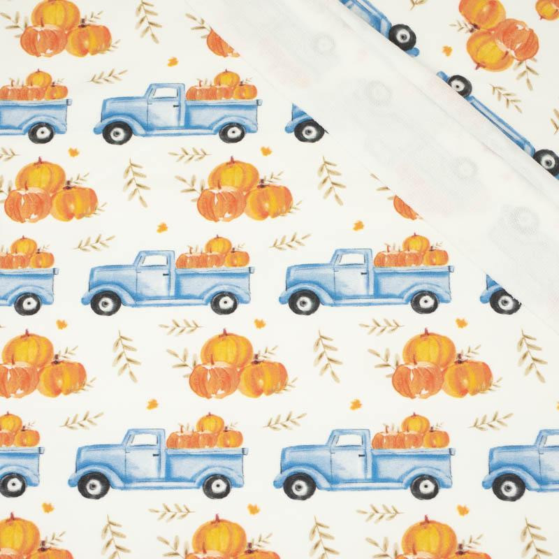 PUMPKINS ON THE PICKUP / LEAVES (PUMPKIN GARDEN) - looped knit fabric