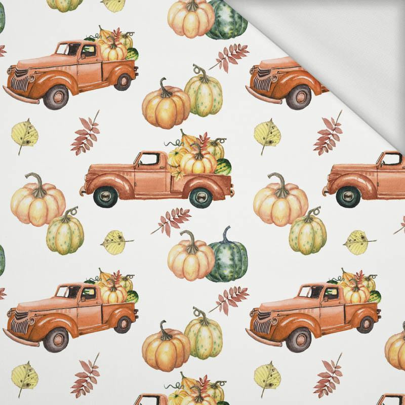 PUMPKINS ON THE PICKUP (leaves) pat. 2 / white (PUMPKIN GARDEN) - looped knit fabric