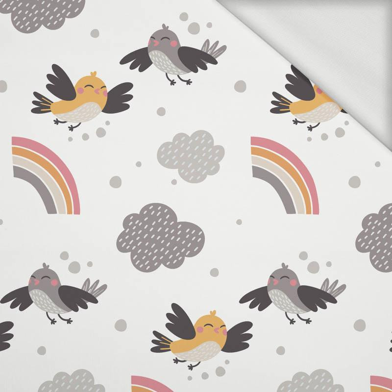 SPARROWS / rainbow (CATS WORLD) / white - looped knit fabric