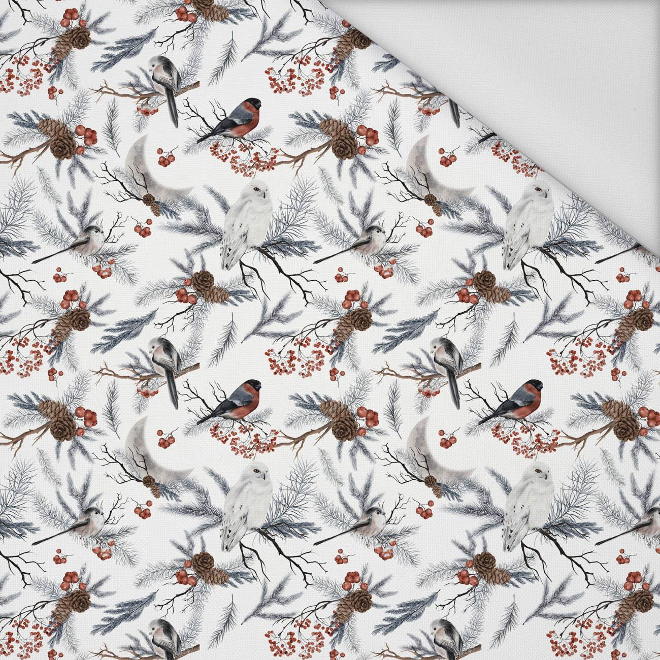 WINTER BIRDS pat. 1 (WINTER IN PARK) - Waterproof woven fabric