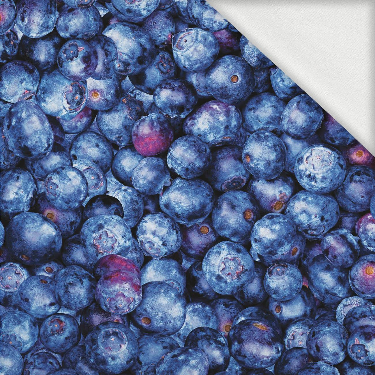 BLUEBERRIES - looped knit fabric with elastane