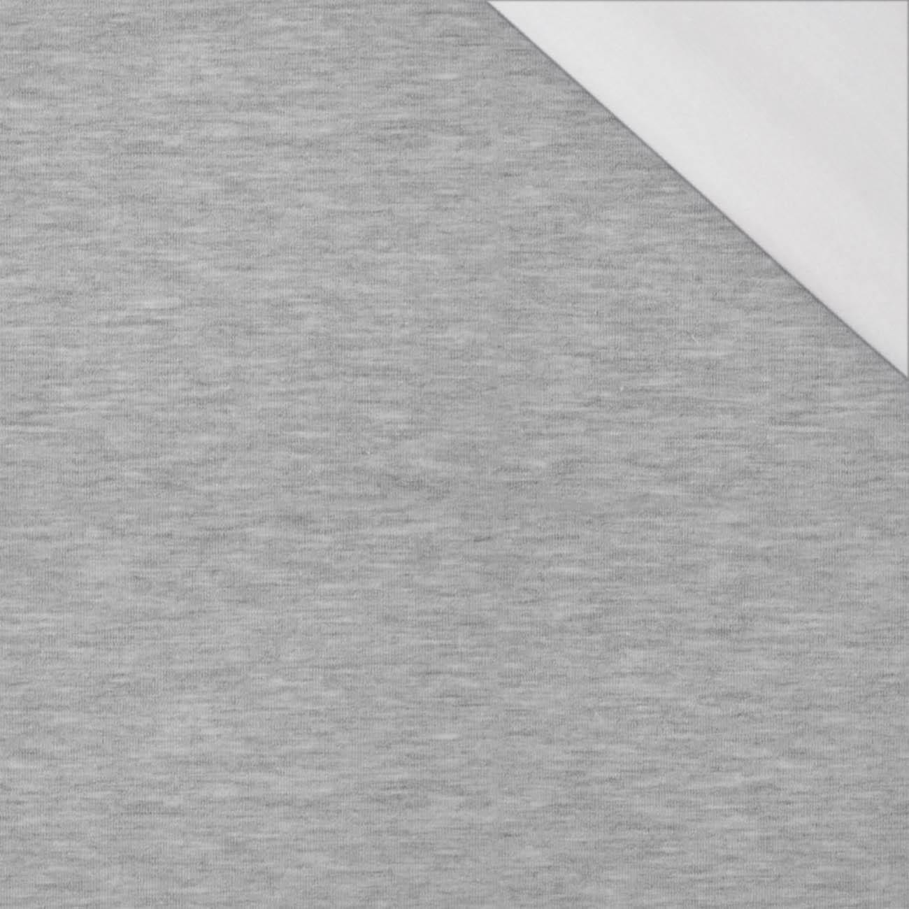 100CM MELANGE LIGHT GRAY - single jersey 120g