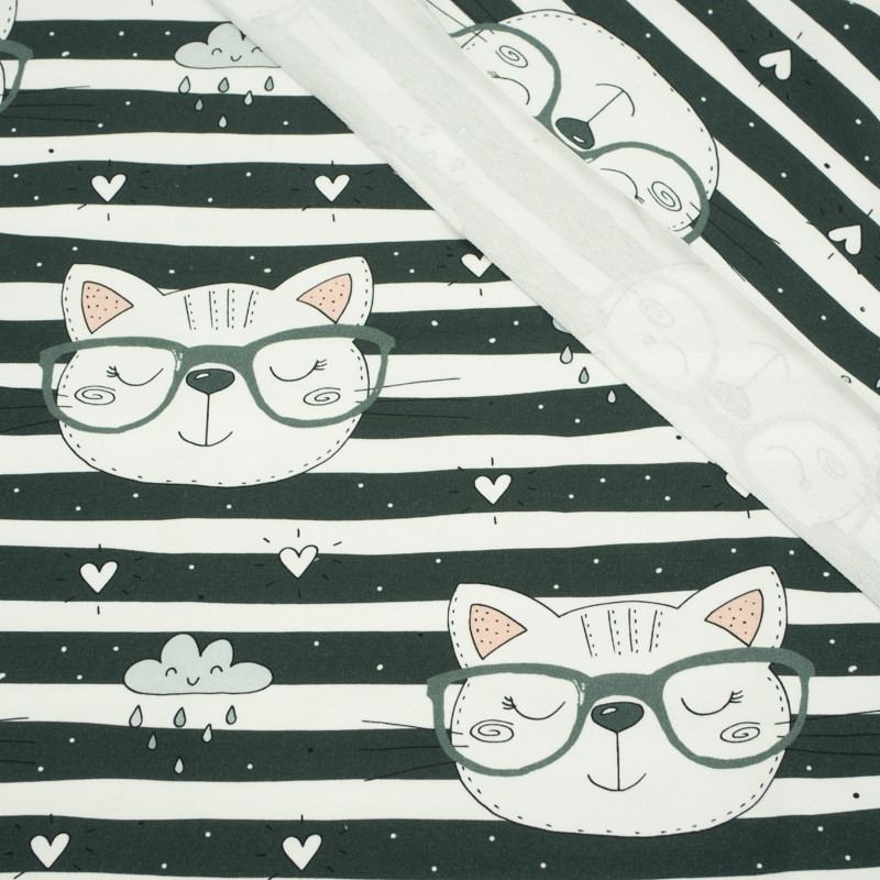 CATS IN GLASSES / grey - looped knit SP250
