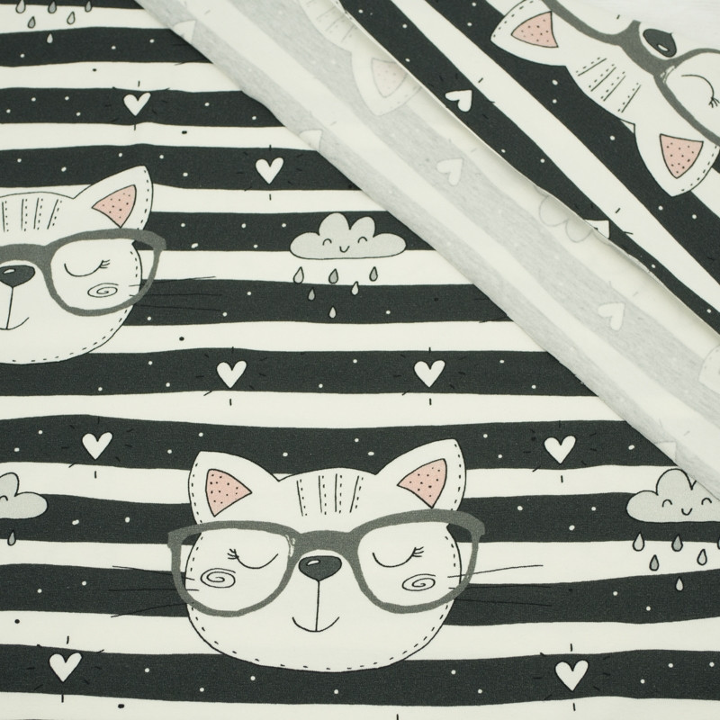 CATS IN GLASSES / grey - single jersey with elastane TE210