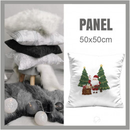 CUSHION PANEL - SANTA WITH A BAG OF PRESENTS (IN THE SANTA CLAUS FOREST)
