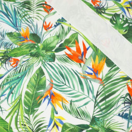 PARADISE JUNGLE / white - single jersey with elastane 