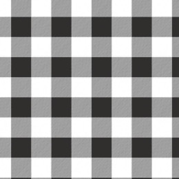 VICHY GRID BLACK / white - Viscose jersey WE210