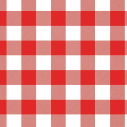 VICHY GRID RED / white - Viscose jersey WE210