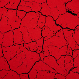 SCORCHED EARTH (black) / red 