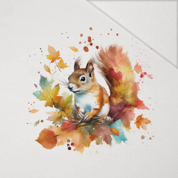 WATERCOLOR SQUIRREL - panel (75cm x 80cm) Hydrophobic brushed knit