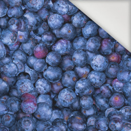 BLUEBERRIES - Nylon fabric PUMI