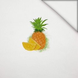 PINEAPPLE -  PANEL (60cm x 50cm) Knitted fabric for sportswear, lightly brushed