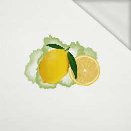 LEMON - panel (60cm x 50cm) looped knit 