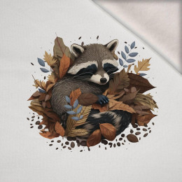 SLEEPING RACCOON - panel (75cm x 80cm) brushed knitwear with elastane ITY