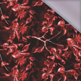 APPLE BLOSSOM pat. 1 (red) / black - softshell