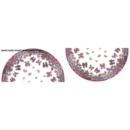 BUTTERFLIES (pattern no. 1 pink) / white - circle skirt panel 