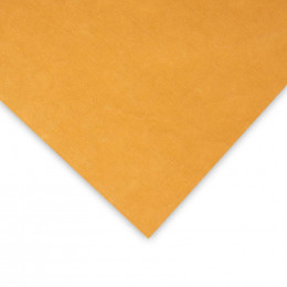 Washable Kraft Paper Colour 55x95 - mustard M