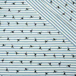 STRIPED FLAMINGOS / blue - single jersey TE210