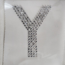 Thermojets - letter  Y