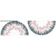 FLOWERS (pattern no. 4) / white - circle skirt panel 