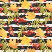 ROWANBERRIES   - softshell