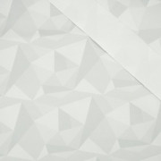 ICE (adventure) / grey  - Waterproof woven fabric