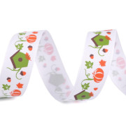 Grosgrain ribbon 25 mm pumpkin and house - white