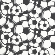 FOOTBALLS / B-00 white - single jersey TE210