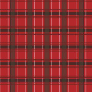 CHECK PAT. 11 / red - lycra 300g