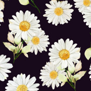 DAISIES PAT. 3 / black - softshell