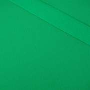 D-101 GREEN - thick brushed sweatshirt D300