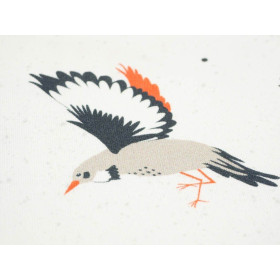 BIRDS TUNES / dirty white - Viscose jersey WE210