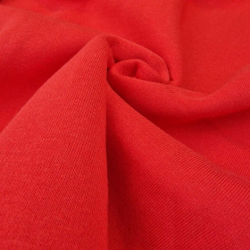 Thick brushed sweatshirt D300 - RED (D-18)