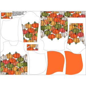 KID'S HOODIE (ALEX) - COLORFUL PUMPKINS - sewing set