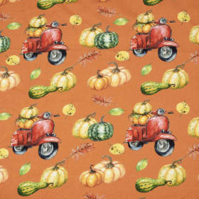 PUMPKINS ON THE SCOOTER (leaves) / orange (PUMPKIN GARDEN) - single jersey 
