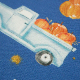 PUMPKINS ON THE PICKUP / GLITTER STARS (PUMPKIN GARDEN) - looped knit fabric
