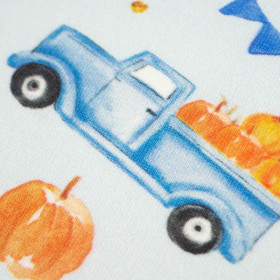 95CM PUMPKINS ON THE PICKUP /  ROSETTES (PUMPKIN GARDEN) - looped knit fabric