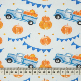 PUMPKINS ON THE PICKUP /  ROSETTES (PUMPKIN GARDEN) - single jersey with elastane 