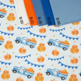 95CM PUMPKINS ON THE PICKUP /  ROSETTES (PUMPKIN GARDEN) - looped knit fabric