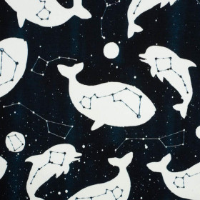 GALACTIC OCEAN (GALACTIC ANIMALS) / navy - looped knit fabric