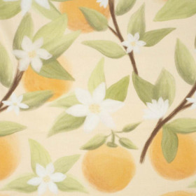 ORANGES no. 2 / vanilla - looped knit fabric