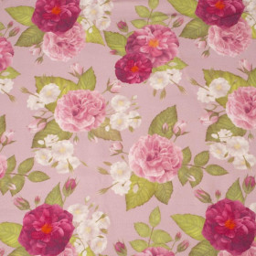 ROSE GARDEN / pink - single jersey with elastane 