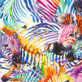 ZEBRA (rainbow) / white - looped knit fabric