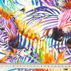 ZEBRA (rainbow) / white - looped knit fabric