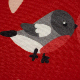 BIRDS IN LOVE PAT. 2 / RED (BIRDS IN LOVE) - single jersey with elastane 