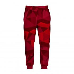 MEN'S JOGGERS "GREG" XXL - ICE pat. 2 / red - sewing set 