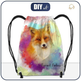 GYM BAG - FOX / rainbow EN - small