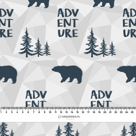 BEARS (adventure) / grey 